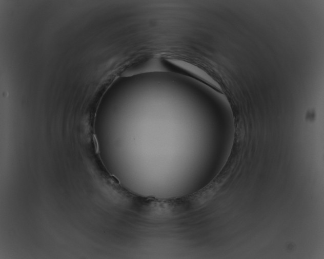 X0000091360764200708311504