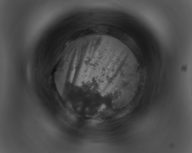 X0000091360765200708311504