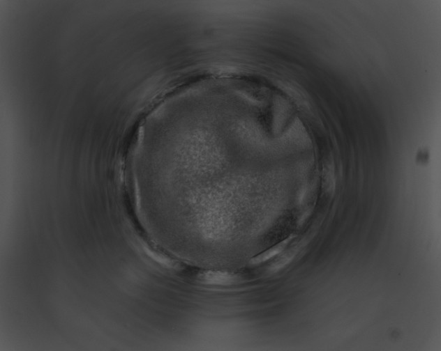 X0000091360766200708311504