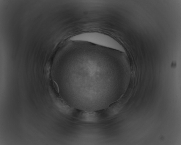X0000091360767200708311505