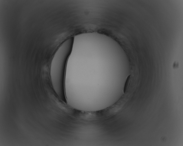 X0000091360768200708311505