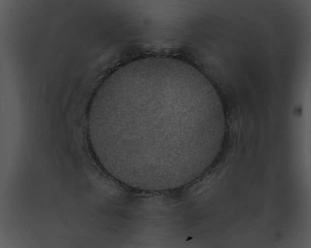 X0000091360769200708311504