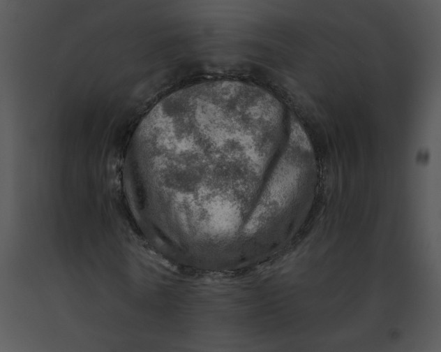X0000091360770200708311504