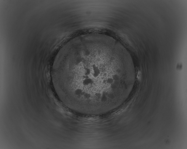 X0000091360771200708311504