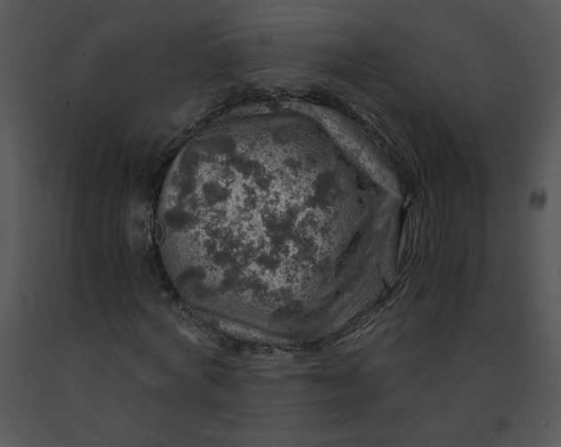 X0000091360772200708311504