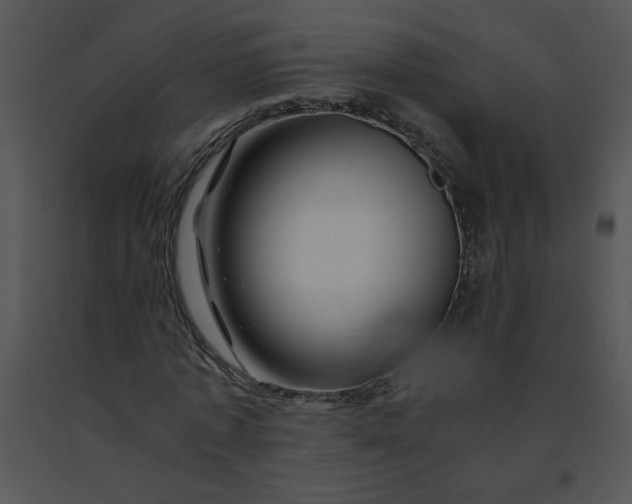 X0000091360773200708311504