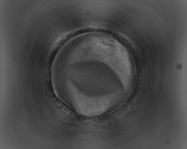 X0000091360776200708311504