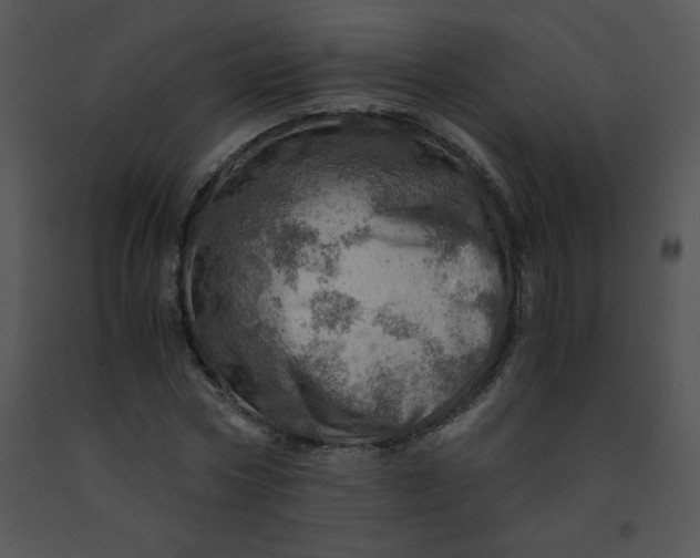 X0000091360778200708311504