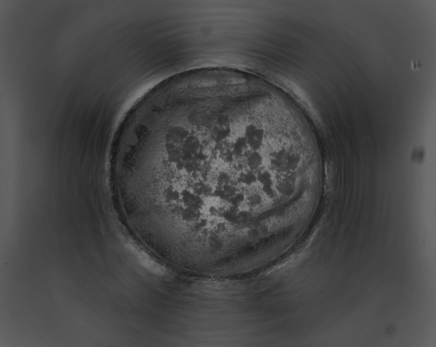 X0000091360780200708311504