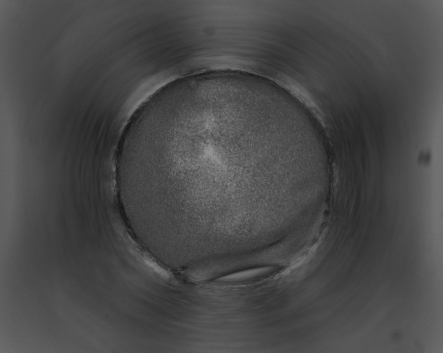 X0000091360782200708311504