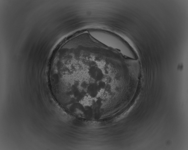 X0000091360783200708311504