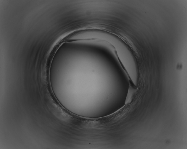 X0000091360784200708311504
