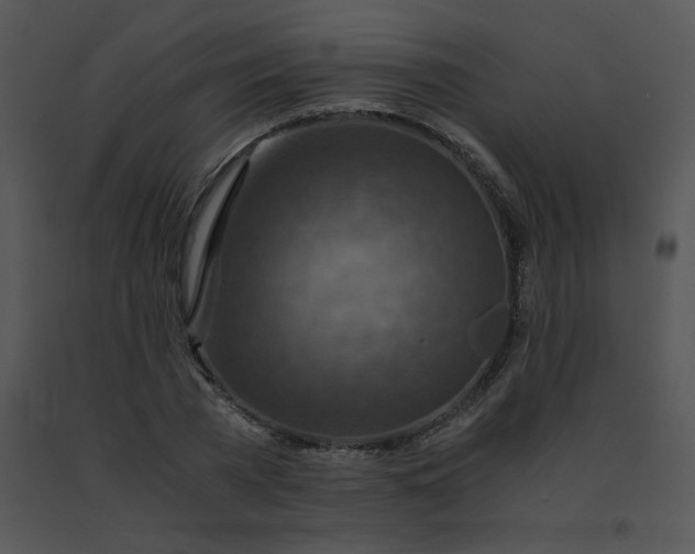 X0000091360785200708311504