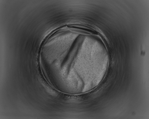 X0000091360786200708311504