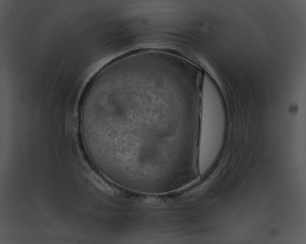 X0000091360787200708311504