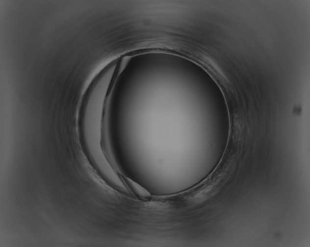 X0000091360788200708311504