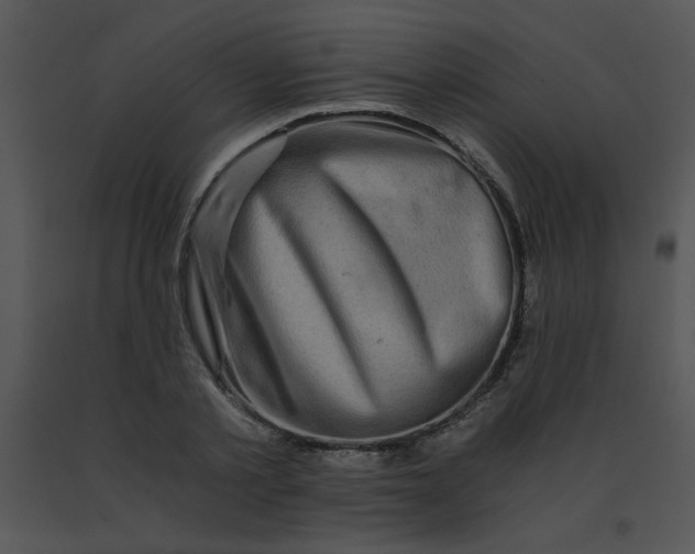 X0000091360789200708311504