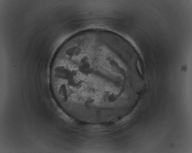 X0000091360791200708311504
