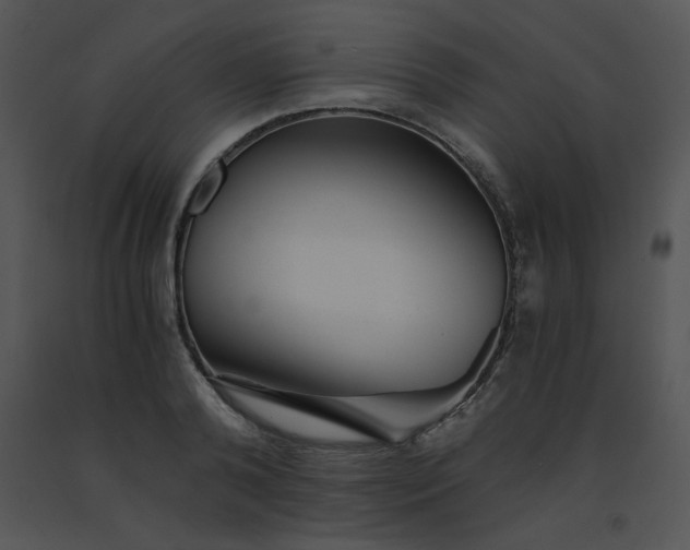 X0000091360792200708311504