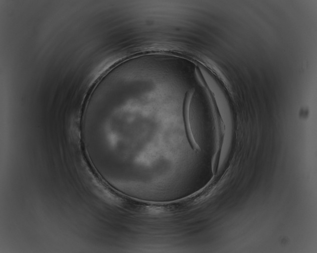 X0000091360794200708311504