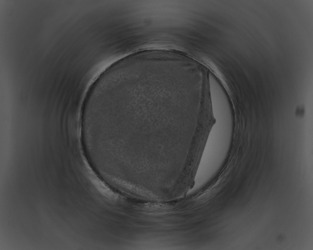 X0000091360795200708311504