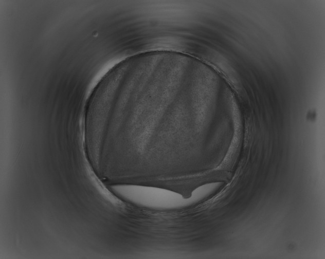X0000091360796200708311504