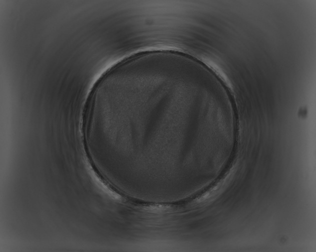 X0000091360797200708311504