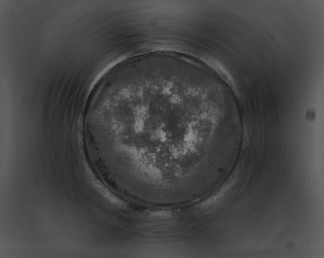 X0000091360798200708311504