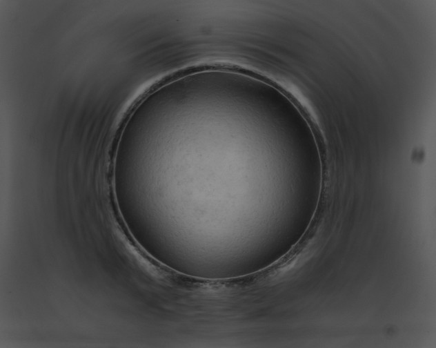 X0000091360799200708311504