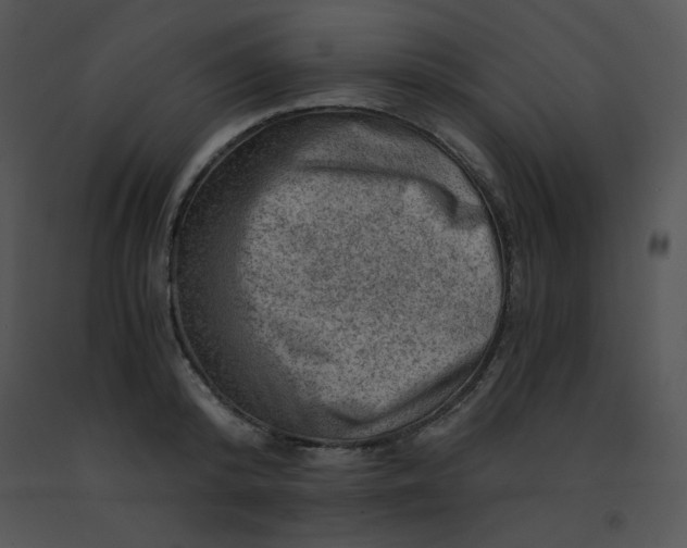 X0000091360800200708311504
