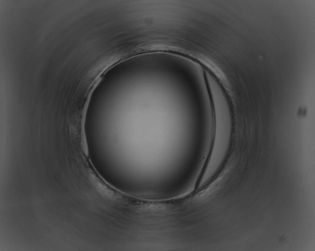 X0000091360801200708311504