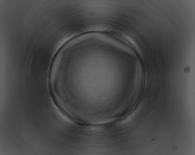 X0000091360802200708311504