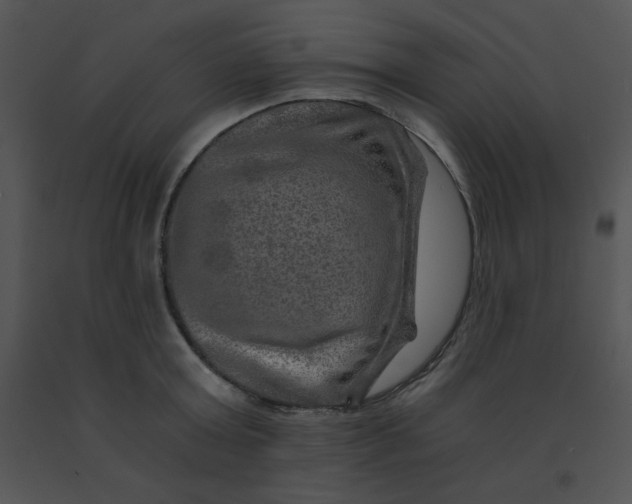 X0000091360803200708311503