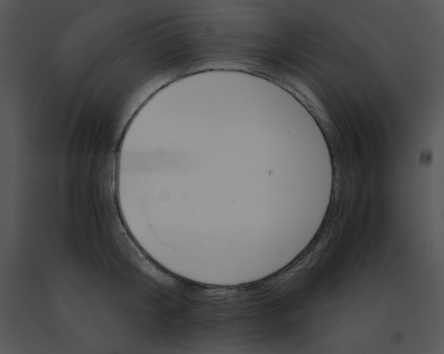 X0000091360804200708311503
