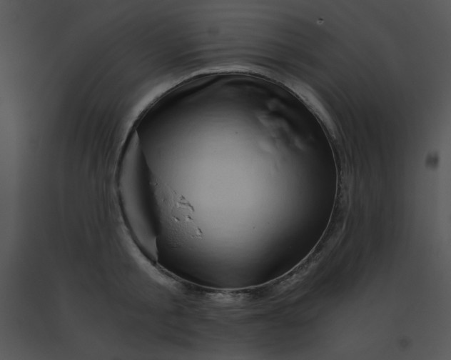 X0000091360805200708311503