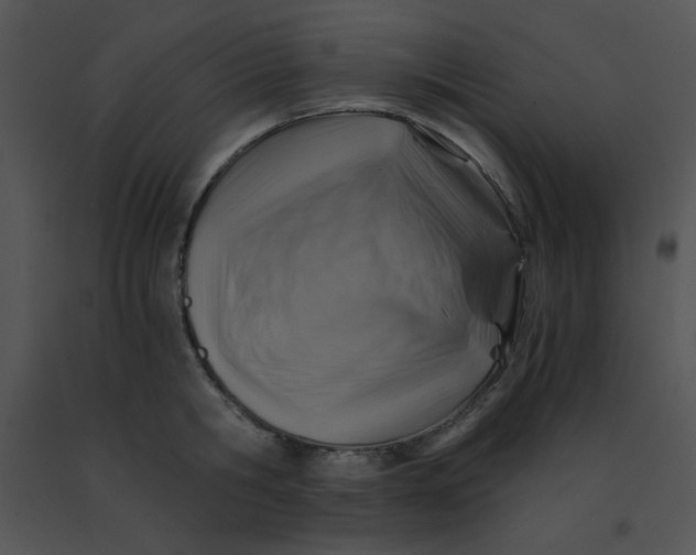 X0000091360806200708311503