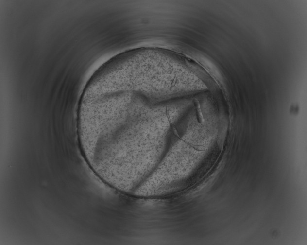 X0000091360808200708311503