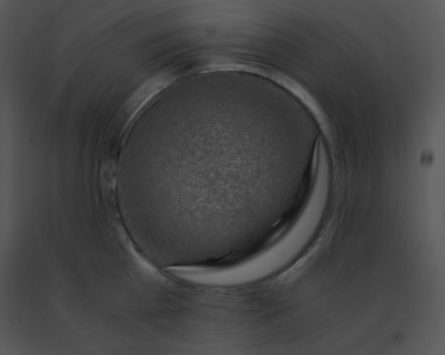 X0000091360809200708311503