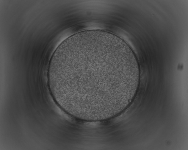 X0000091360810200708311503