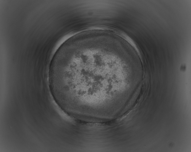 X0000091360811200708311503