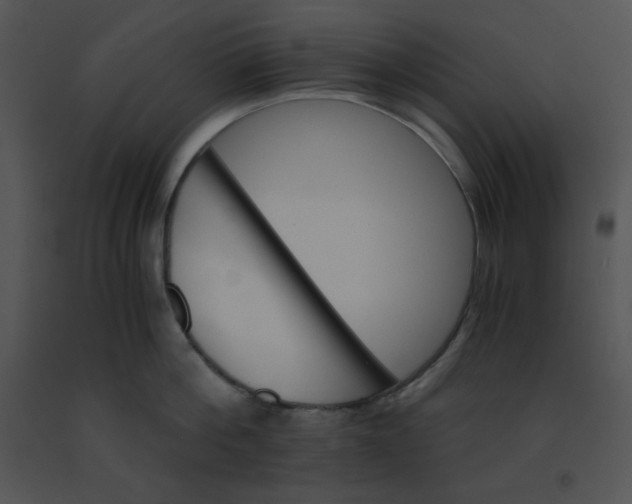 X0000091360812200708311503