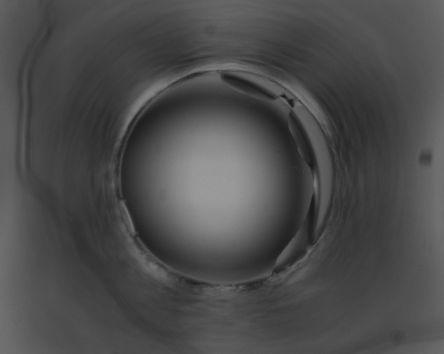 X0000091360813200708311503