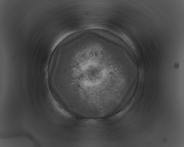 X0000091360814200708311503