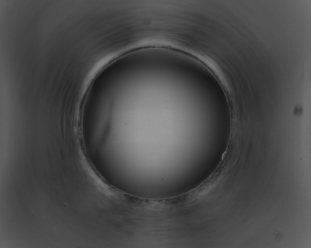 X0000091360815200708311503