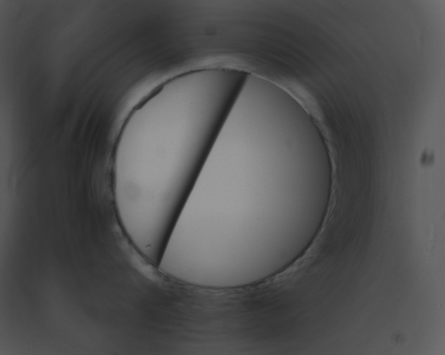 X0000091360816200708311503