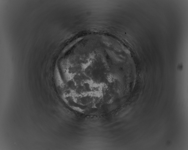 X0000091360817200708311503