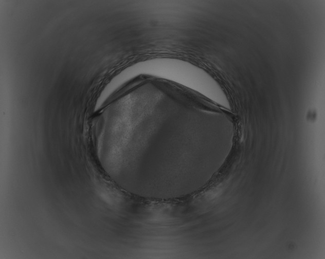 X0000091360818200708311503