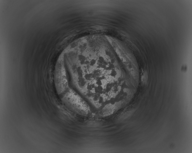 X0000091360819200708311503