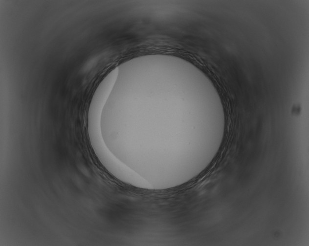 X0000091360820200708311503
