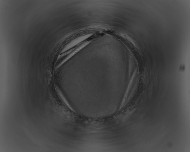 X0000091360821200708311503